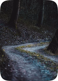 Sentier en forêt brumeuse exploré lors d’une enquête paranormale de Ghost Detective